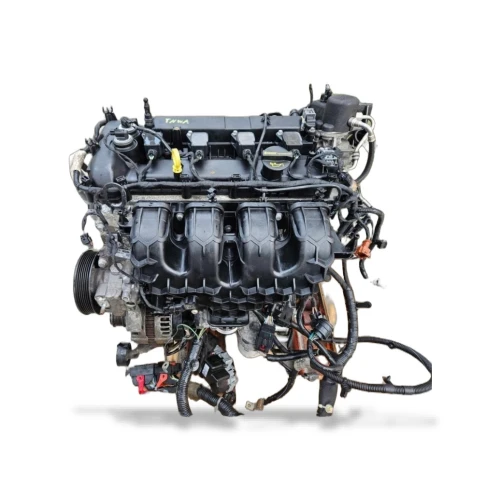 Ford 2.0 EcoBoost 203 PS Komple Motor TNWA (Çıkma)
